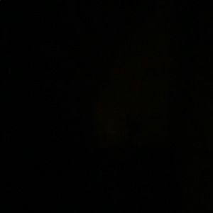 Meet your Posher, Johnny